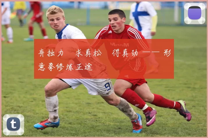 弃拙力・求真松・得真劲 —— 形意拳修炼正途