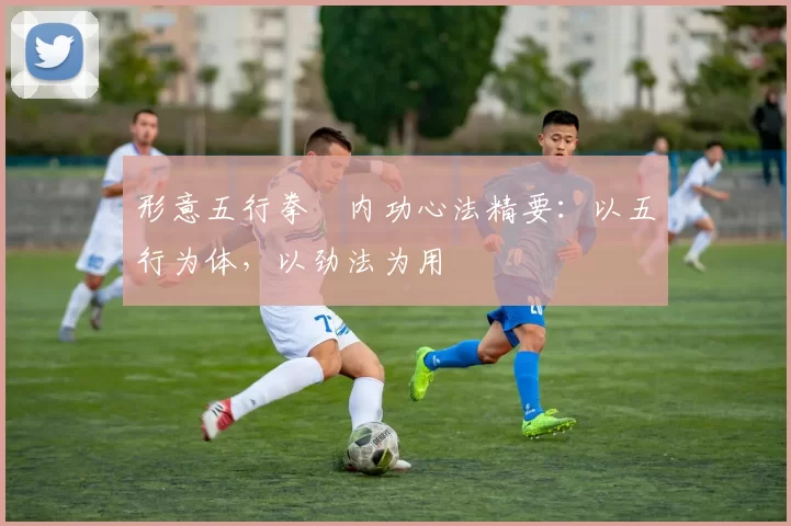 形意五行拳・内功心法精要：以五行为体，以劲法为用