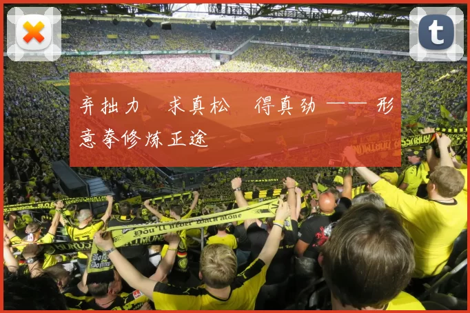 弃拙力・求真松・得真劲 —— 形意拳修炼正途