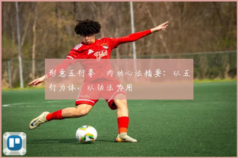 形意五行拳・内功心法精要：以五行为体，以劲法为用