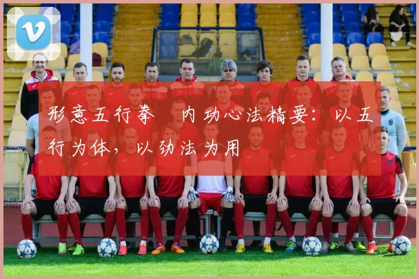 形意五行拳・内功心法精要：以五行为体，以劲法为用