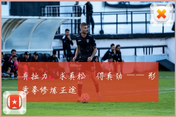 弃拙力・求真松・得真劲 —— 形意拳修炼正途