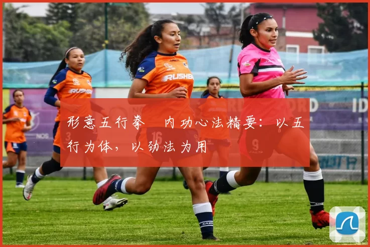 形意五行拳・内功心法精要:以五行为体,以劲法为用