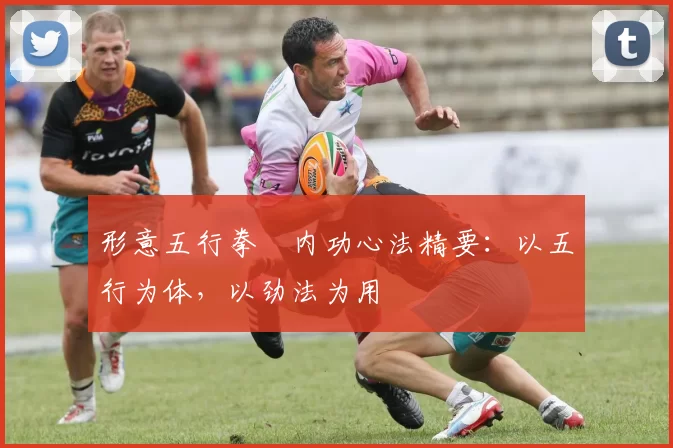 形意五行拳・内功心法精要：以五行为体，以劲法为用