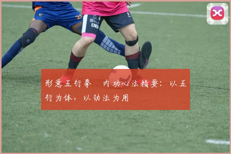 形意五行拳・内功心法精要：以五行为体，以劲法为用