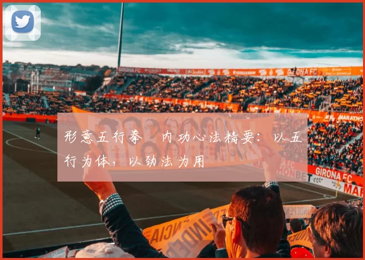 形意五行拳・内功心法精要：以五行为体，以劲法为用