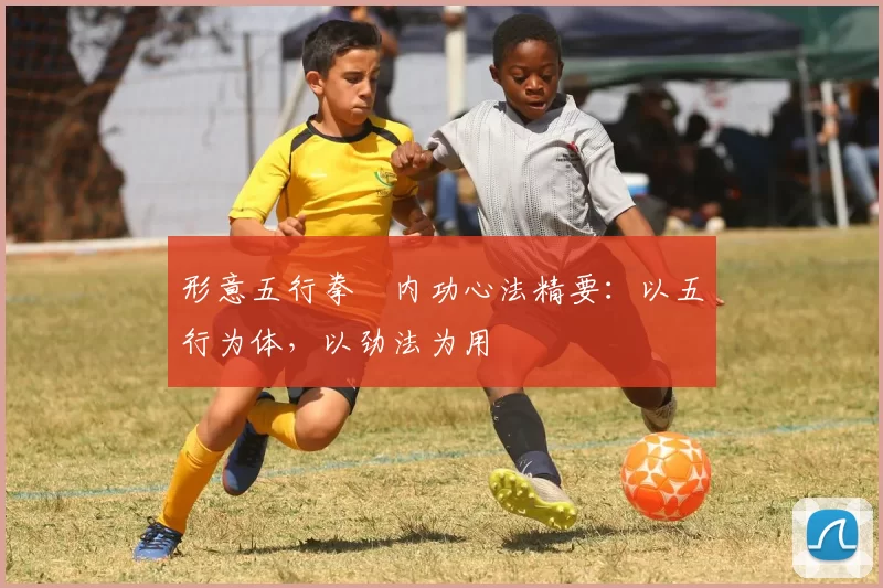 形意五行拳・内功心法精要：以五行为体，以劲法为用