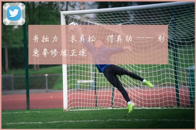 弃拙力・求真松・得真劲 —— 形意拳修炼正途