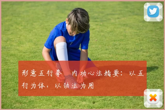 形意五行拳・内功心法精要：以五行为体，以劲法为用