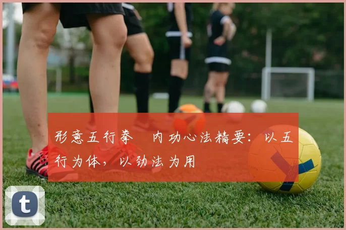 形意五行拳・内功心法精要:以五行为体,以劲法为用