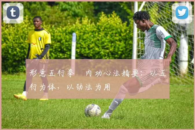 形意五行拳・内功心法精要:以五行为体,以劲法为用