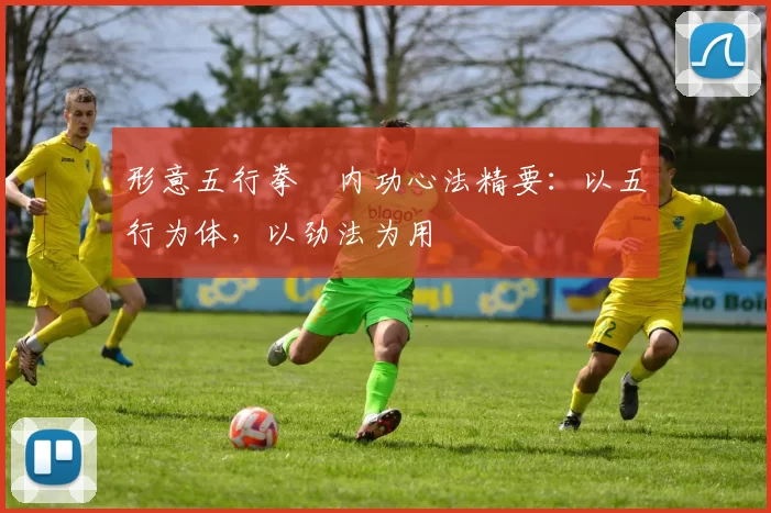 形意五行拳・内功心法精要：以五行为体，以劲法为用