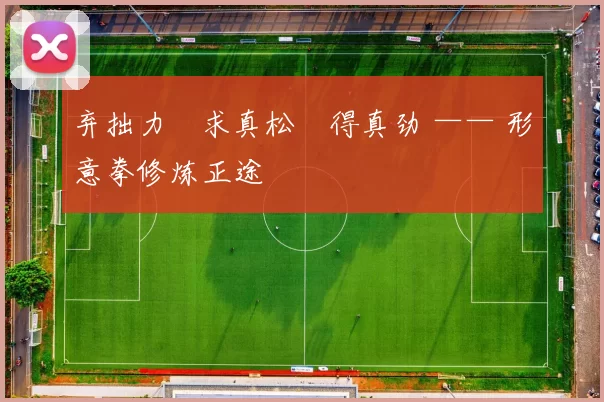 弃拙力・求真松・得真劲 —— 形意拳修炼正途