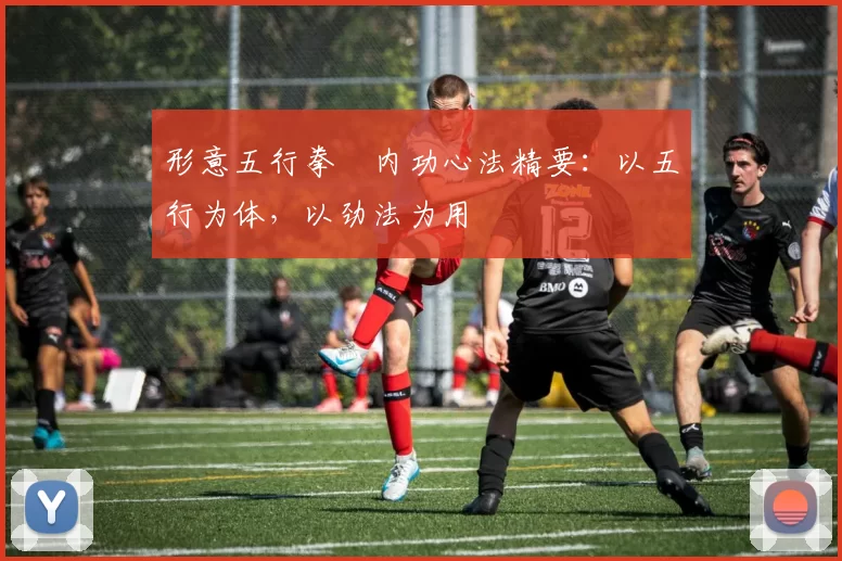 形意五行拳・内功心法精要：以五行为体，以劲法为用