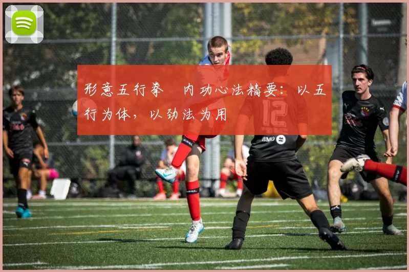 形意五行拳・内功心法精要：以五行为体，以劲法为用