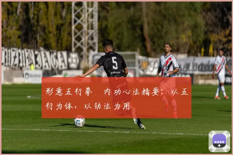 形意五行拳・内功心法精要：以五行为体，以劲法为用