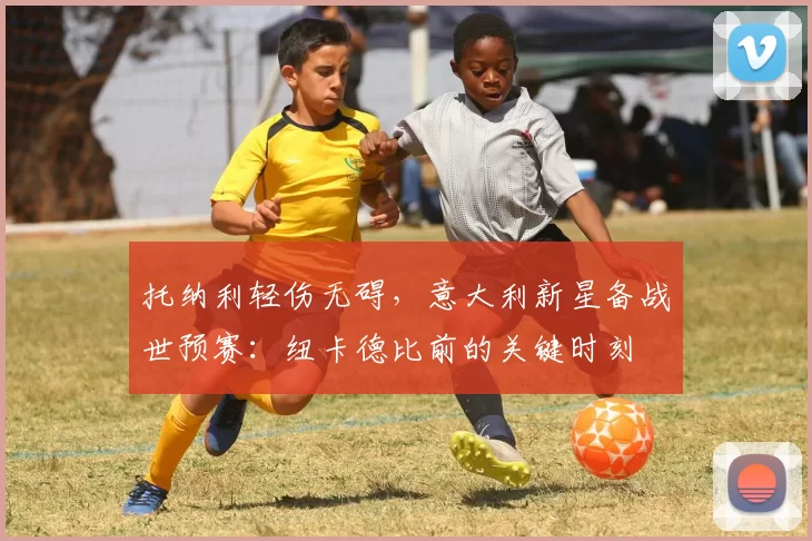 托纳利轻伤无碍，意大利新星备战世预赛：纽卡德比前的关键时刻