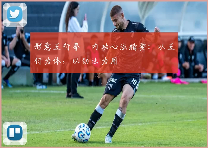 形意五行拳・内功心法精要:以五行为体,以劲法为用