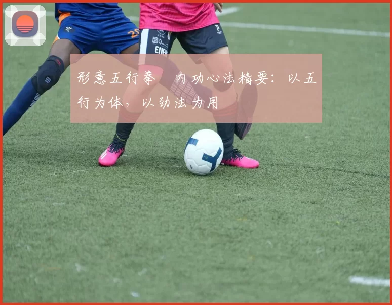 形意五行拳・内功心法精要：以五行为体，以劲法为用