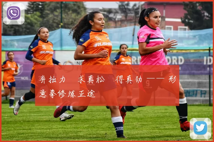 弃拙力・求真松・得真劲 —— 形意拳修炼正途