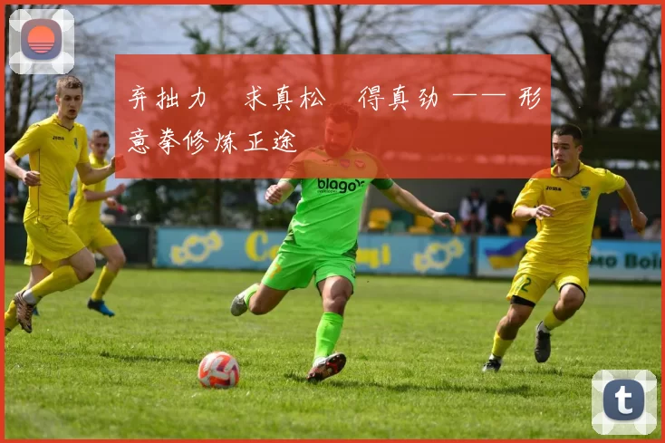 弃拙力・求真松・得真劲 —— 形意拳修炼正途