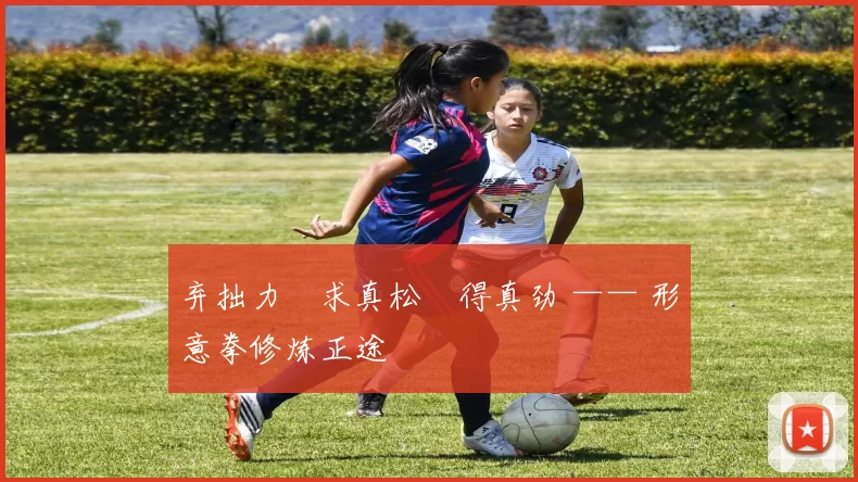 弃拙力・求真松・得真劲 —— 形意拳修炼正途