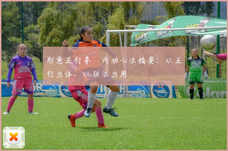 形意五行拳・内功心法精要：以五行为体，以劲法为用