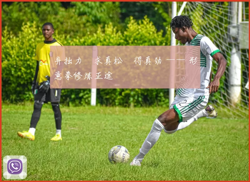 弃拙力・求真松・得真劲 —— 形意拳修炼正途
