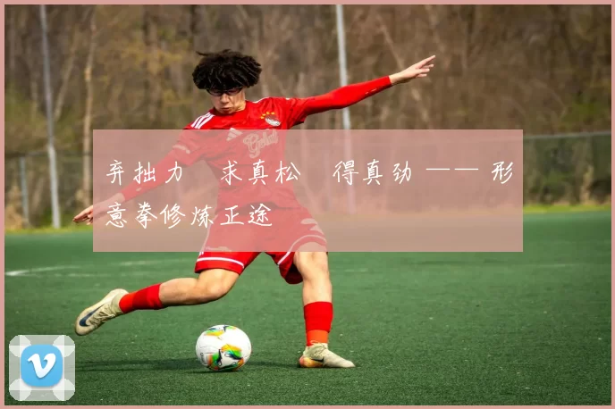 弃拙力・求真松・得真劲 —— 形意拳修炼正途