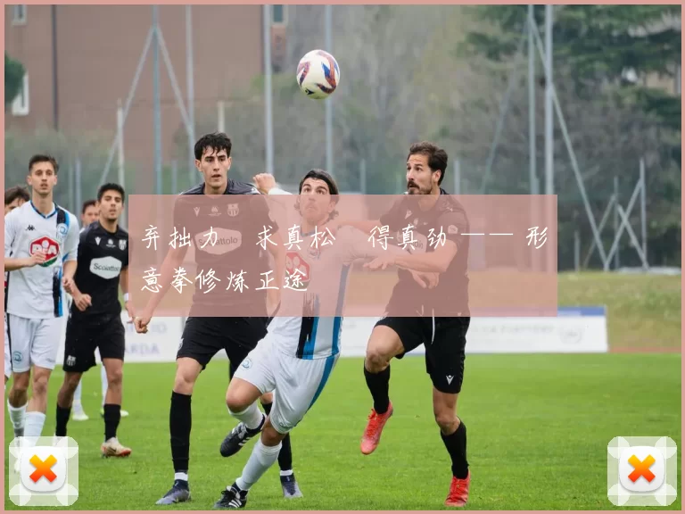 弃拙力・求真松・得真劲 —— 形意拳修炼正途