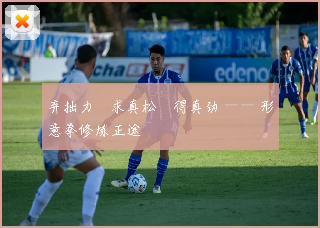 弃拙力・求真松・得真劲 —— 形意拳修炼正途