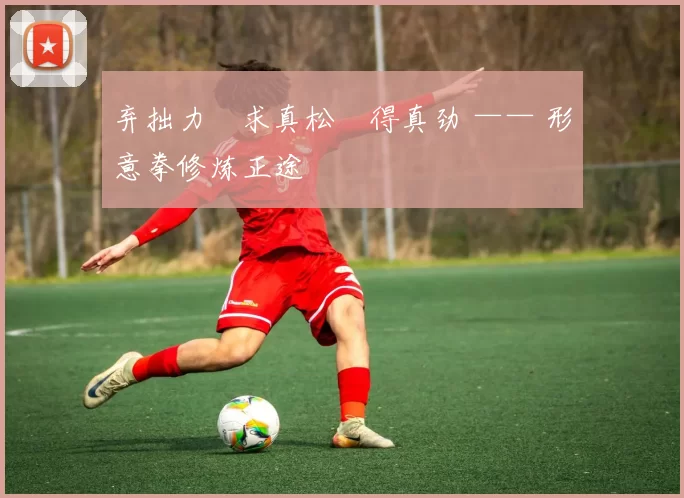 弃拙力・求真松・得真劲 —— 形意拳修炼正途