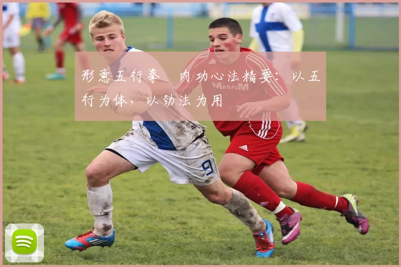 形意五行拳・内功心法精要：以五行为体，以劲法为用