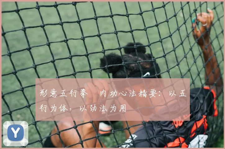形意五行拳・内功心法精要：以五行为体，以劲法为用