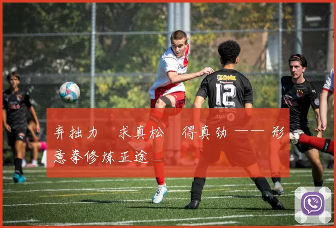 弃拙力・求真松・得真劲 —— 形意拳修炼正途