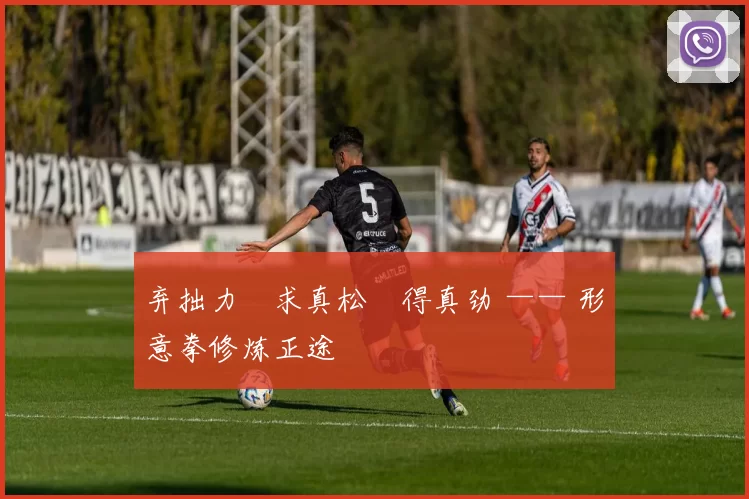 弃拙力・求真松・得真劲 —— 形意拳修炼正途