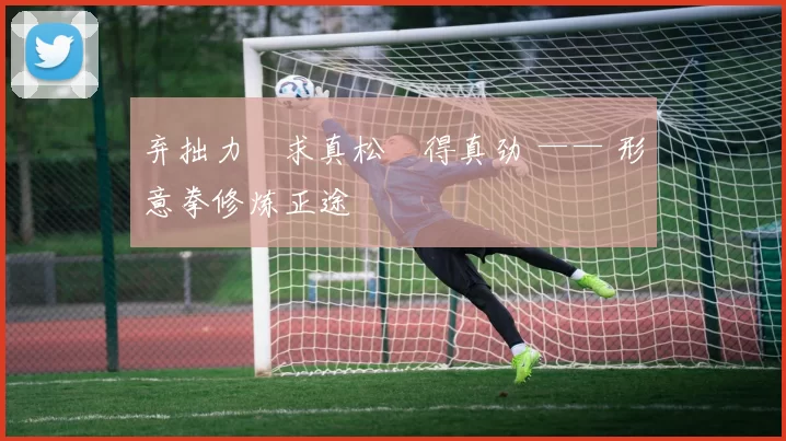 弃拙力・求真松・得真劲 —— 形意拳修炼正途