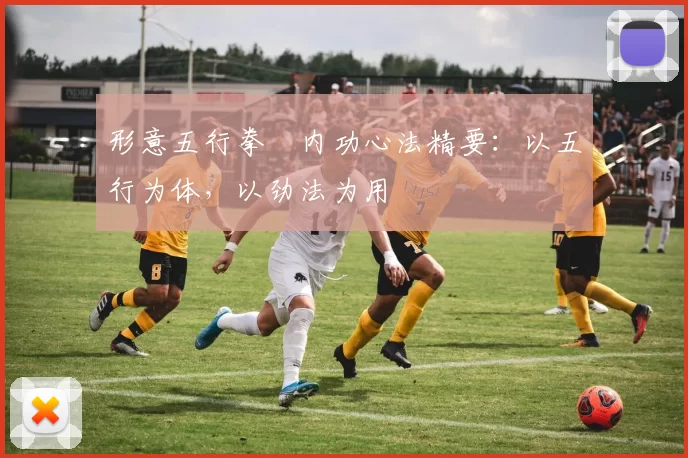 形意五行拳・内功心法精要：以五行为体，以劲法为用