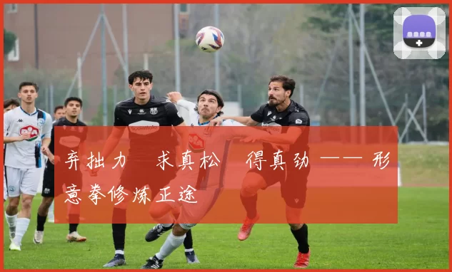 弃拙力・求真松・得真劲 —— 形意拳修炼正途