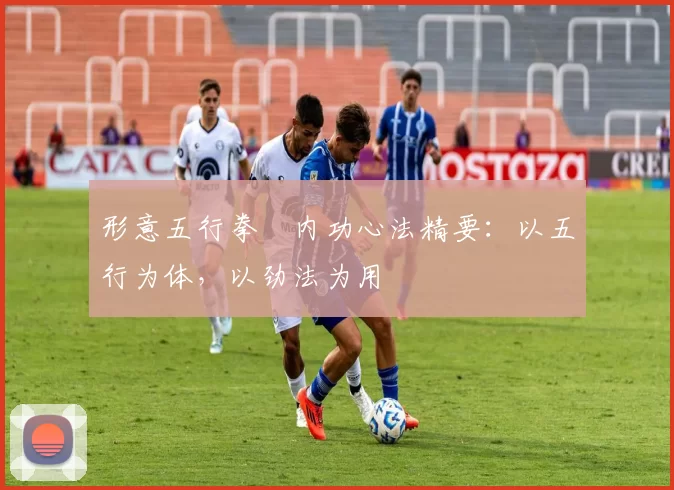 形意五行拳・内功心法精要：以五行为体，以劲法为用