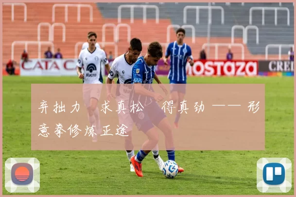 弃拙力・求真松・得真劲 —— 形意拳修炼正途