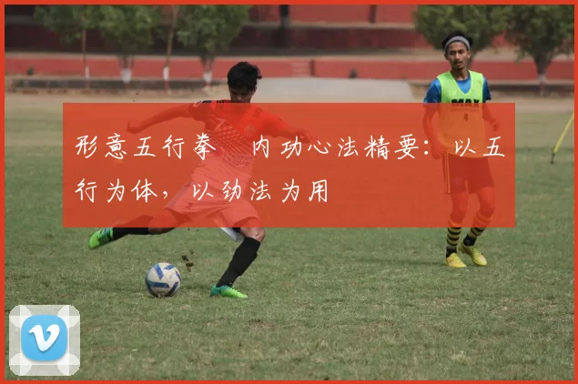 形意五行拳・内功心法精要：以五行为体，以劲法为用