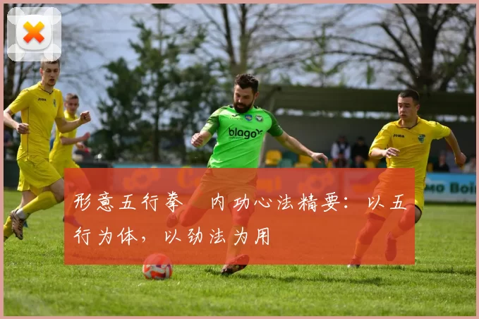 形意五行拳・内功心法精要:以五行为体,以劲法为用