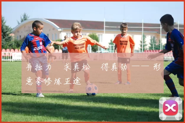 弃拙力・求真松・得真劲 —— 形意拳修炼正途