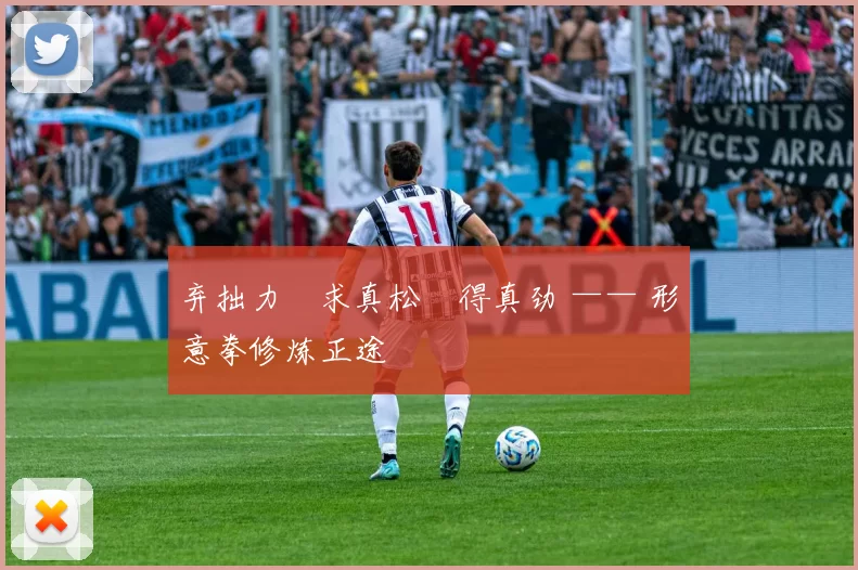 弃拙力・求真松・得真劲 —— 形意拳修炼正途