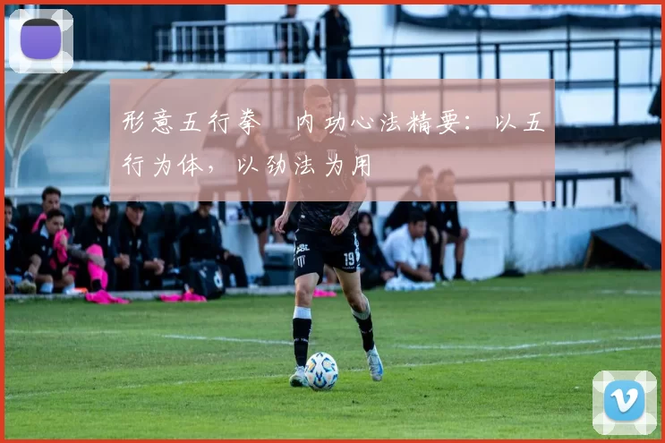 形意五行拳・内功心法精要：以五行为体，以劲法为用