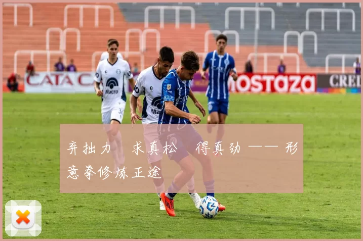 弃拙力・求真松・得真劲 —— 形意拳修炼正途