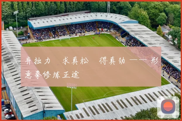 弃拙力・求真松・得真劲 —— 形意拳修炼正途