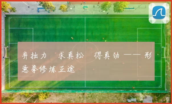 弃拙力・求真松・得真劲 —— 形意拳修炼正途