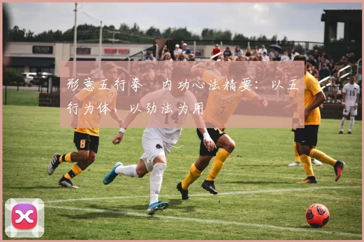 形意五行拳・内功心法精要：以五行为体，以劲法为用